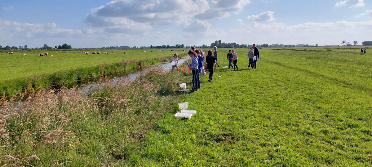 Vandaag 15 soorten #waterdiertjes geschept met groep 5 van de Havenrakkers in Broek in <a href="/gem_waterland/">Gemeente Waterland</a>. Verwondering over het leven in de sloot. #kijkwaarjeleeft #biodiversiteit. En deze ingevoerd op waterdiertjes.nl