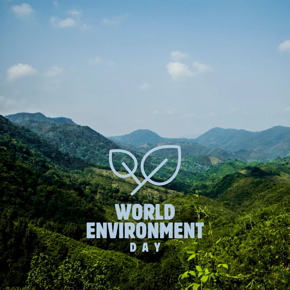 blueskiesfruit's tweet photo. Happy #WorldEnvironmentDay! 🌍 This day serves as a poignant reminder of our responsibility to safeguard the Earth's natural heritage and build a sustainable future for all. #LandRestoration #CombatDesertification #DroughtResilience #WorldEnvironmentDay https://t.co/uDgTbDHQ78