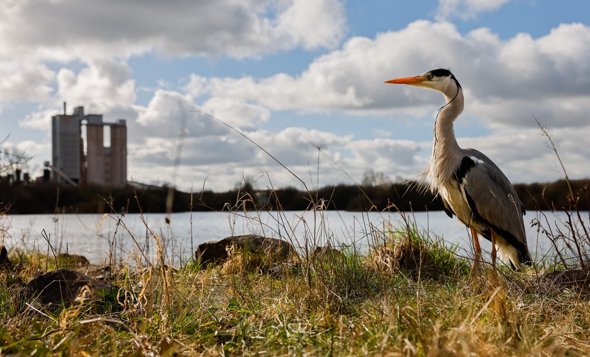 Today we’re joining organisations around the globe marking #WorldEnvironmentDay 2024, encouraging awareness and action to promote land restoration. 

We’re proud to highlight our commitment to responsible land management, protecting natural habitats and restoring nature.