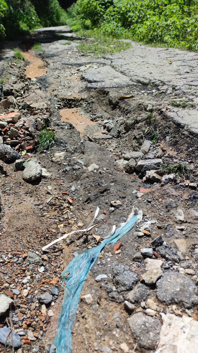 AnaMariaDL's tweet photo. @El_Noticiero Denuncia de esta Via principal en @filasdemariche km12 entra al Embalse de la Pereza, después de 6 años en constante deterioro no hemos sido atendidos a nuestra petición, quedaremos incomunicado @CrusmilaRamos @rsalmeron20 @GaudyPerozo
#PrimeraEmisión @El_Noticiero https://t.co/Mrvr9IsaIc