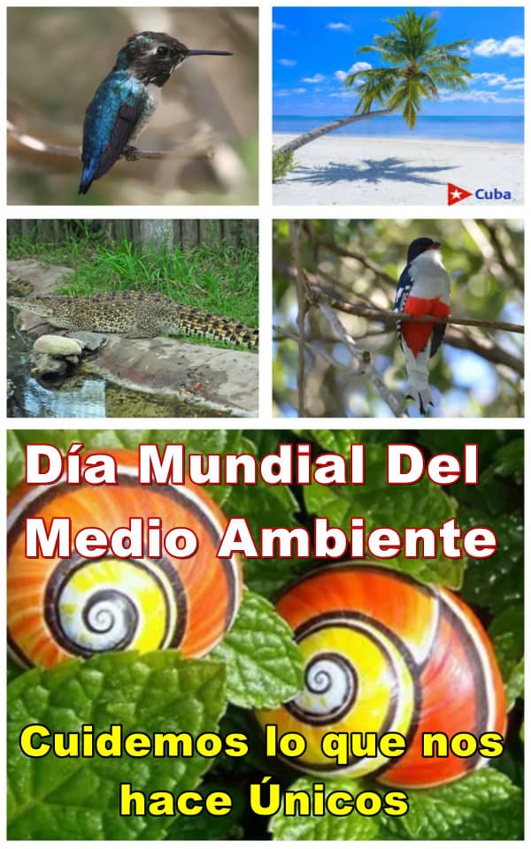 Cuidemos el Medio ambiente con fomentar el manejo sostenible de las tierras. Respaldar los esfuerzos nacionales para la mitigación y adaptación al cambió climático. 
#Cuba
#CubaPorLaVida
#CulturaManzanillo
#GobiernoManzanillo