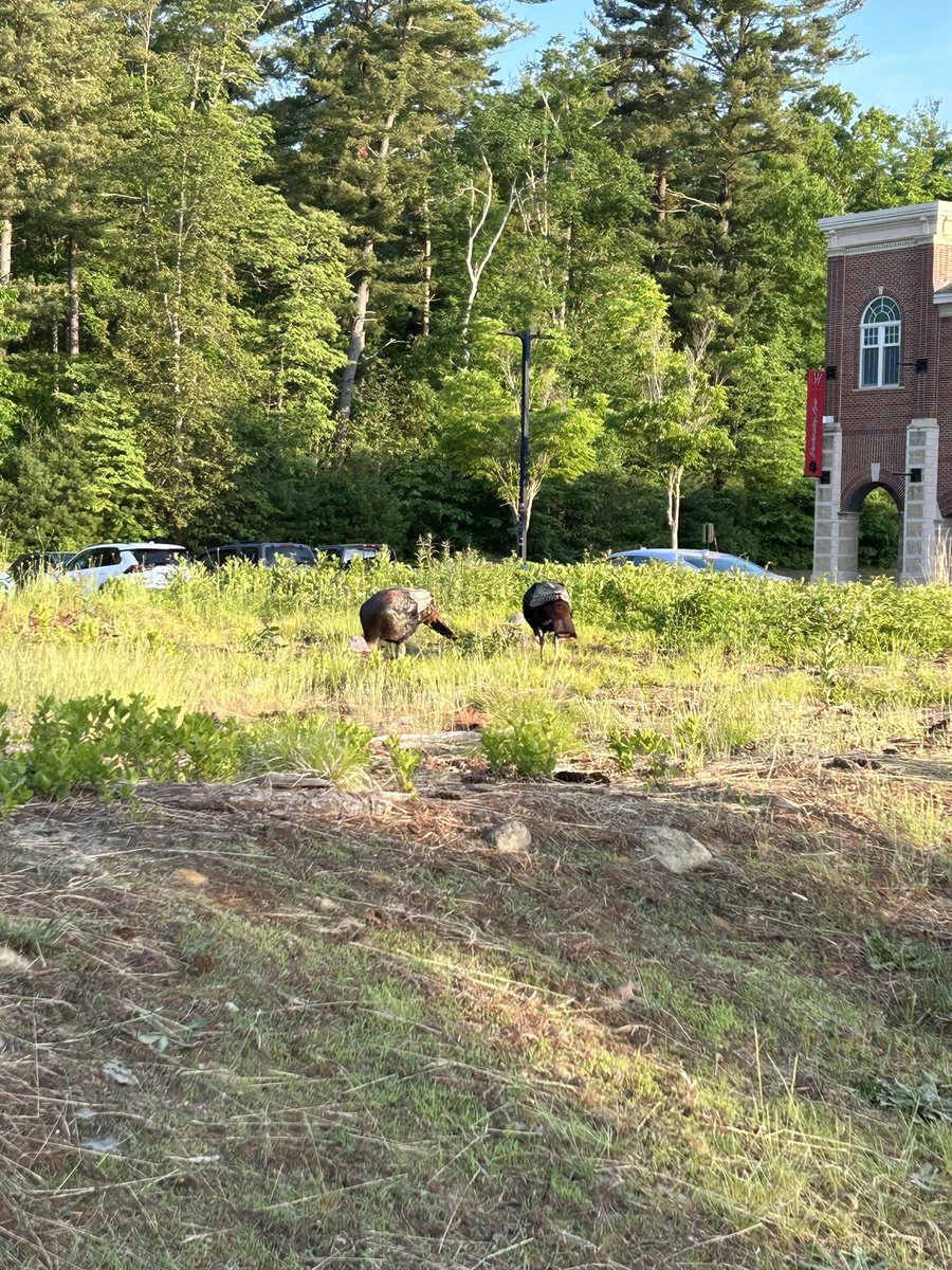 Little help at bus duty this morning <a href="/WH_Super/">Jeff Szymaniak</a> @DrSemas