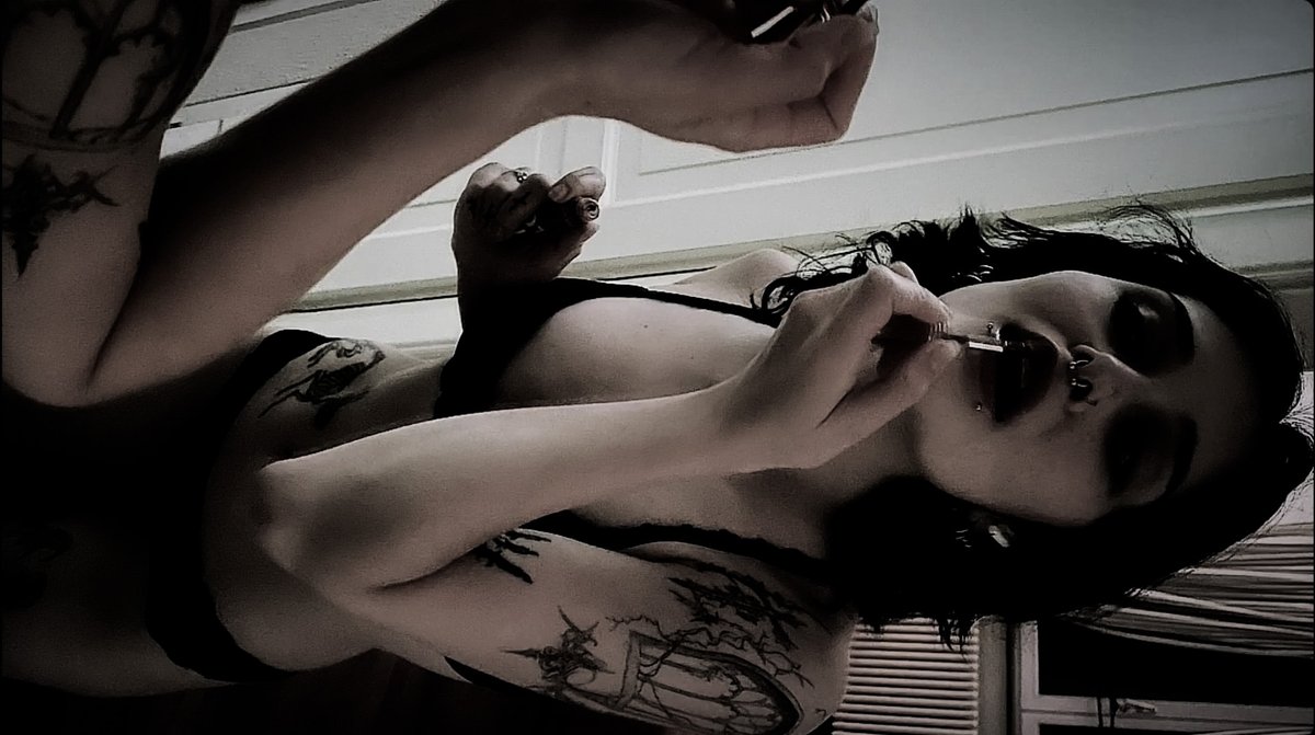 𐙚 nacht tweet media