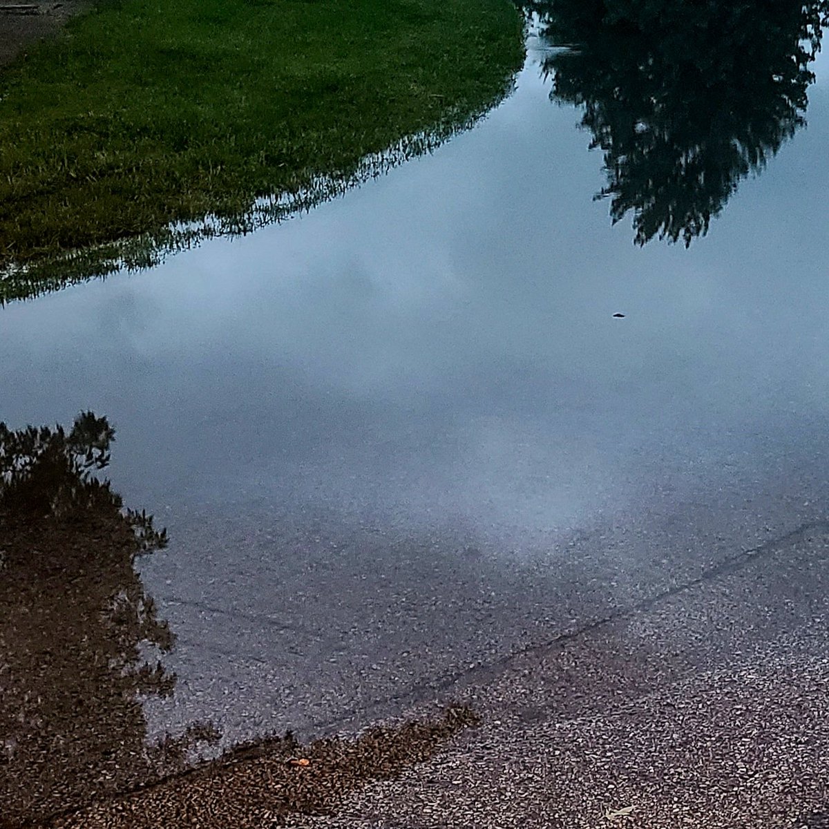 SueOestmann's tweet photo. #PuddleReflections on a rainy morning 68F #MorningWalk #GetAfterIt #Photography #TakeAnotherShot https://t.co/C1Qwqi3a4v
