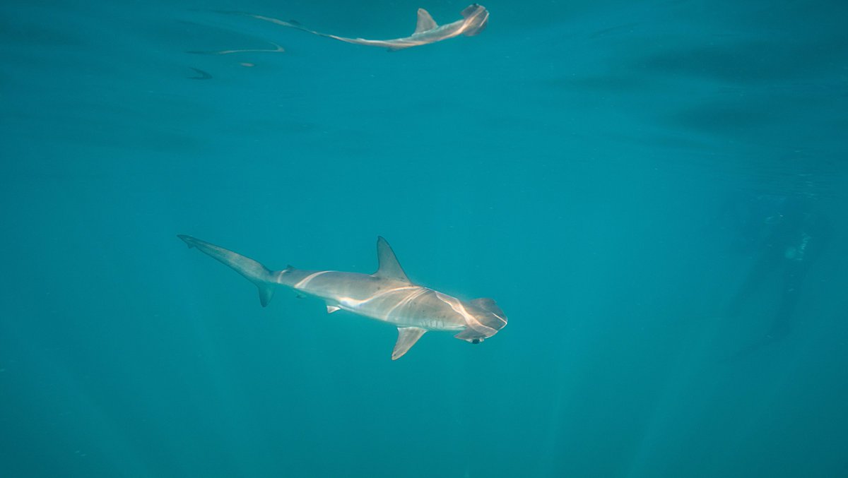 Jeremy Roberts tweet media