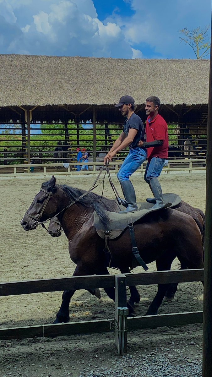 55Estiven's tweet photo. #horse #selfie #fotografia https://t.co/wgDcUsGUHJ