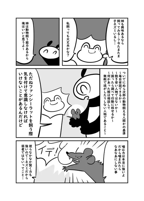 ドブネズミは驚くほど懐くって知ってた? 3/4 