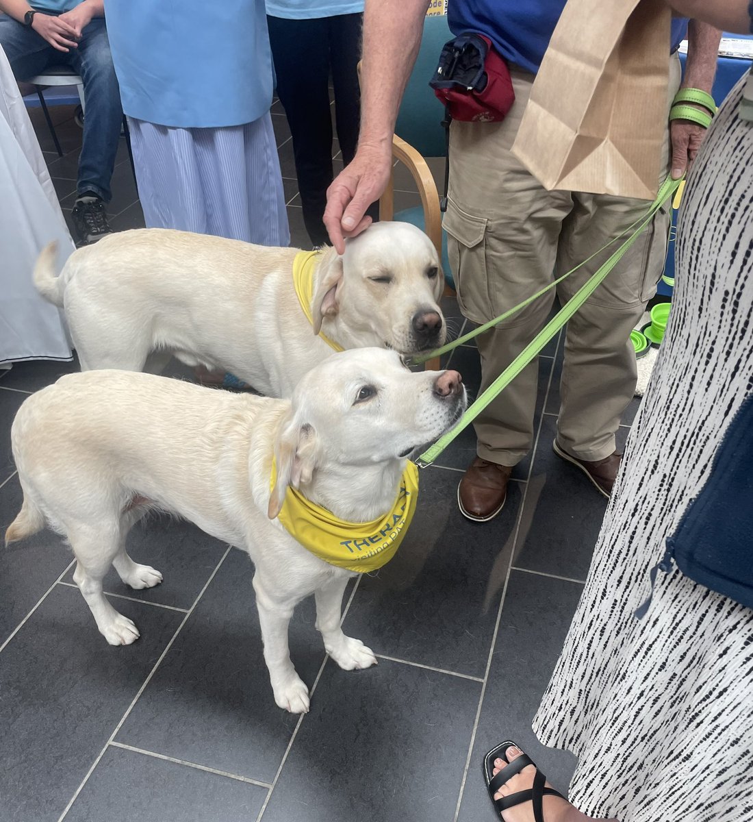 Celebrating 40 years of National Volunteers week at the Norfolk and Norwich University Hospital.  

How important are the volunteers at the hospital and why do people do it? 

More to come… 

#volunteerweek #volunteers