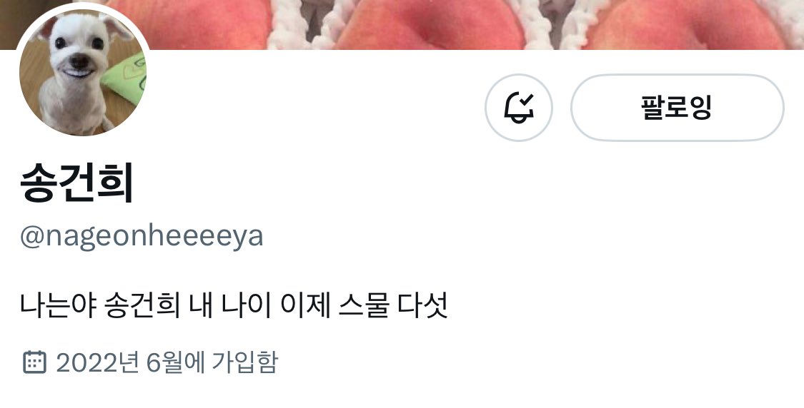 log_30s's tweet photo. @nageonheeeeya 근데 건희야 왜 스물 다섯인 척해??????? 😎😎 https://t.co/OaJWhtbcgr