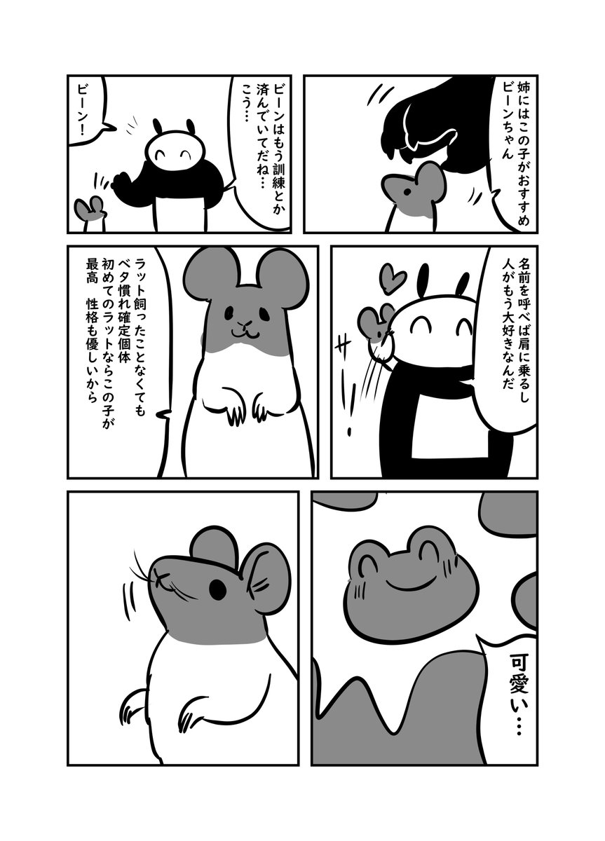 ドブネズミは驚くほど懐くって知ってた? 4/4 