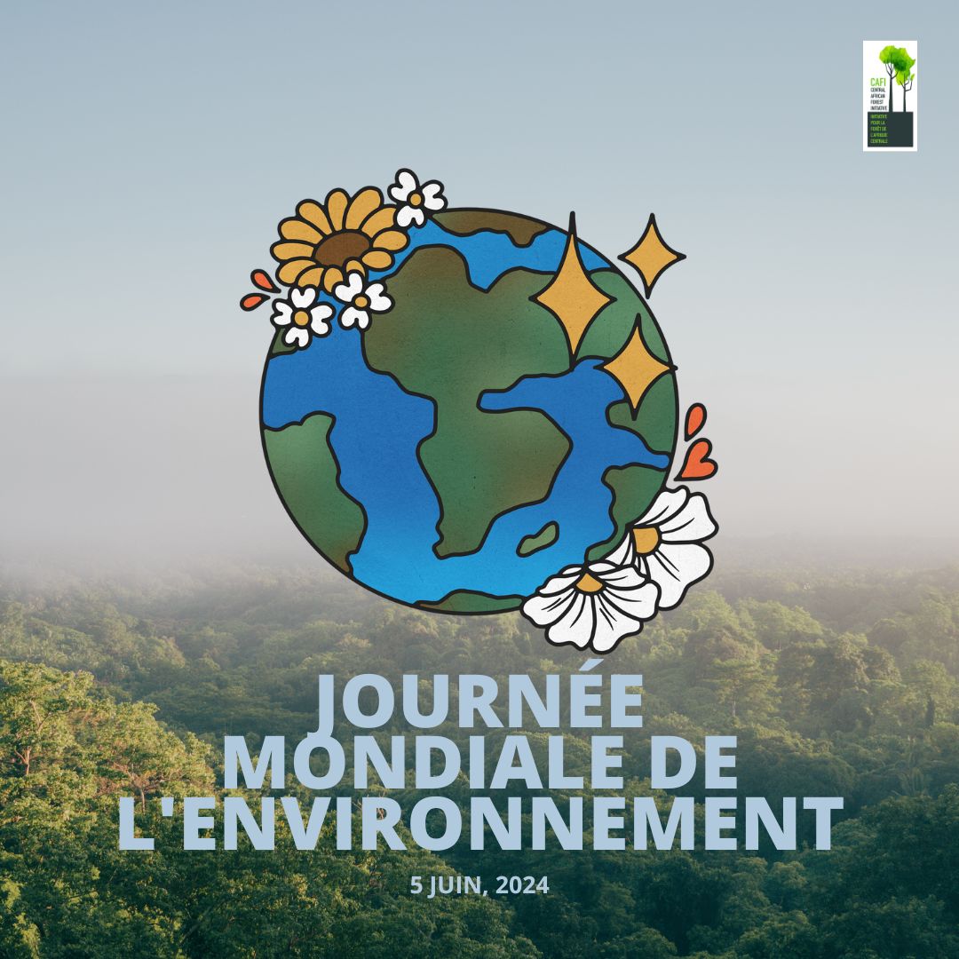 CAFISecretariat's tweet photo. Les forêts tropicales sont essentielles pour le climat et la biodiversité. La #forêt d'Afrique centrale, 2ème au monde en taille, absorbe 1,1 M de tonnes de CO2/an et abrite 10k+ espèces. Les projets de #CAFI visent à protéger cet écosystème vital. 🌿💧  #ActionClimat #Durabilité https://t.co/7hNqYnPXzU
