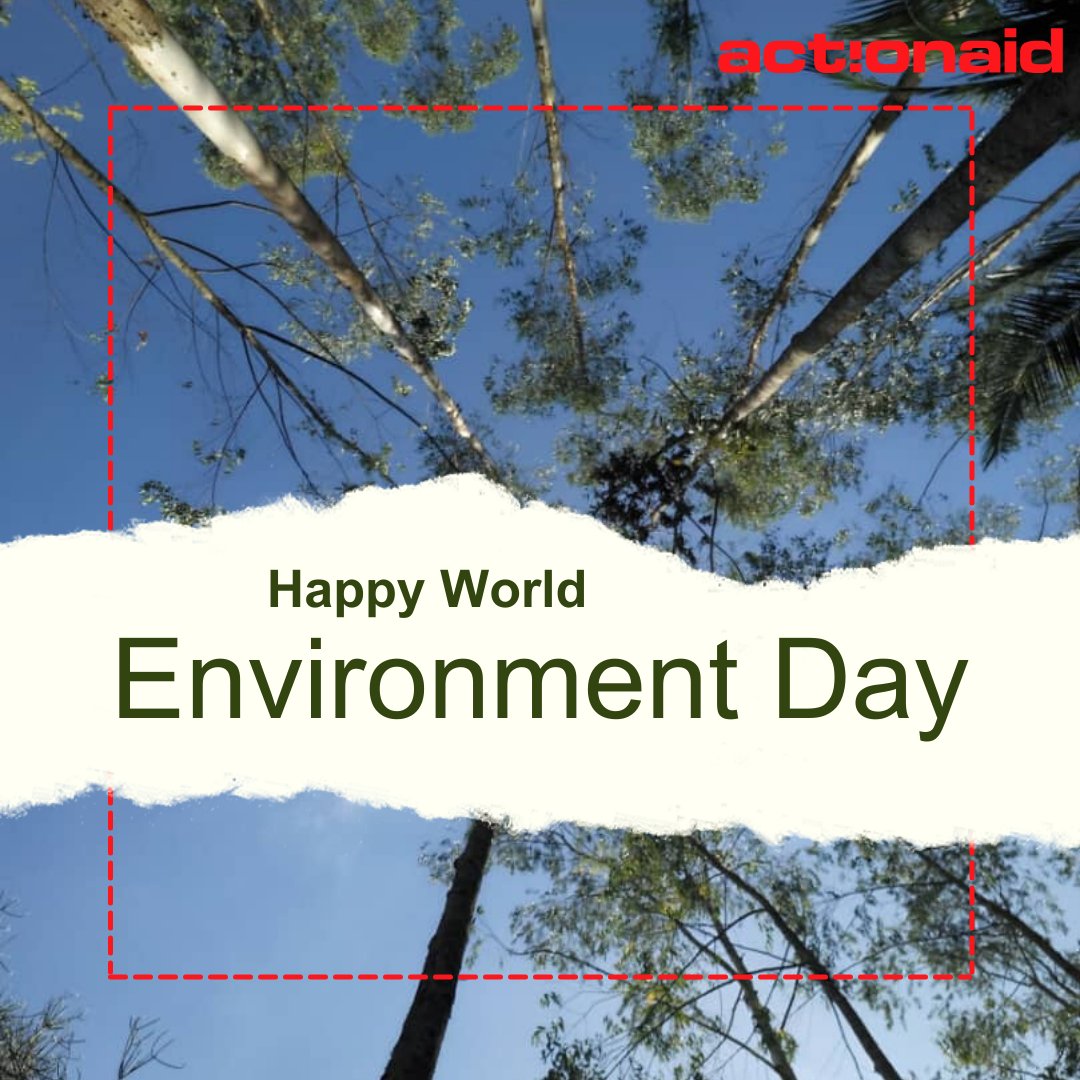 Happy World Environment Day! As we commemorate this important day under the theme of land restoration, desertification, and drought resilience, we continue to advocate for increased investment in agroecology and renewable energy. #FundOurFuture #WorldEnvironmentDay‌2024