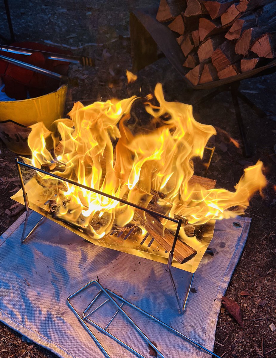 ねぎとろG tweet media