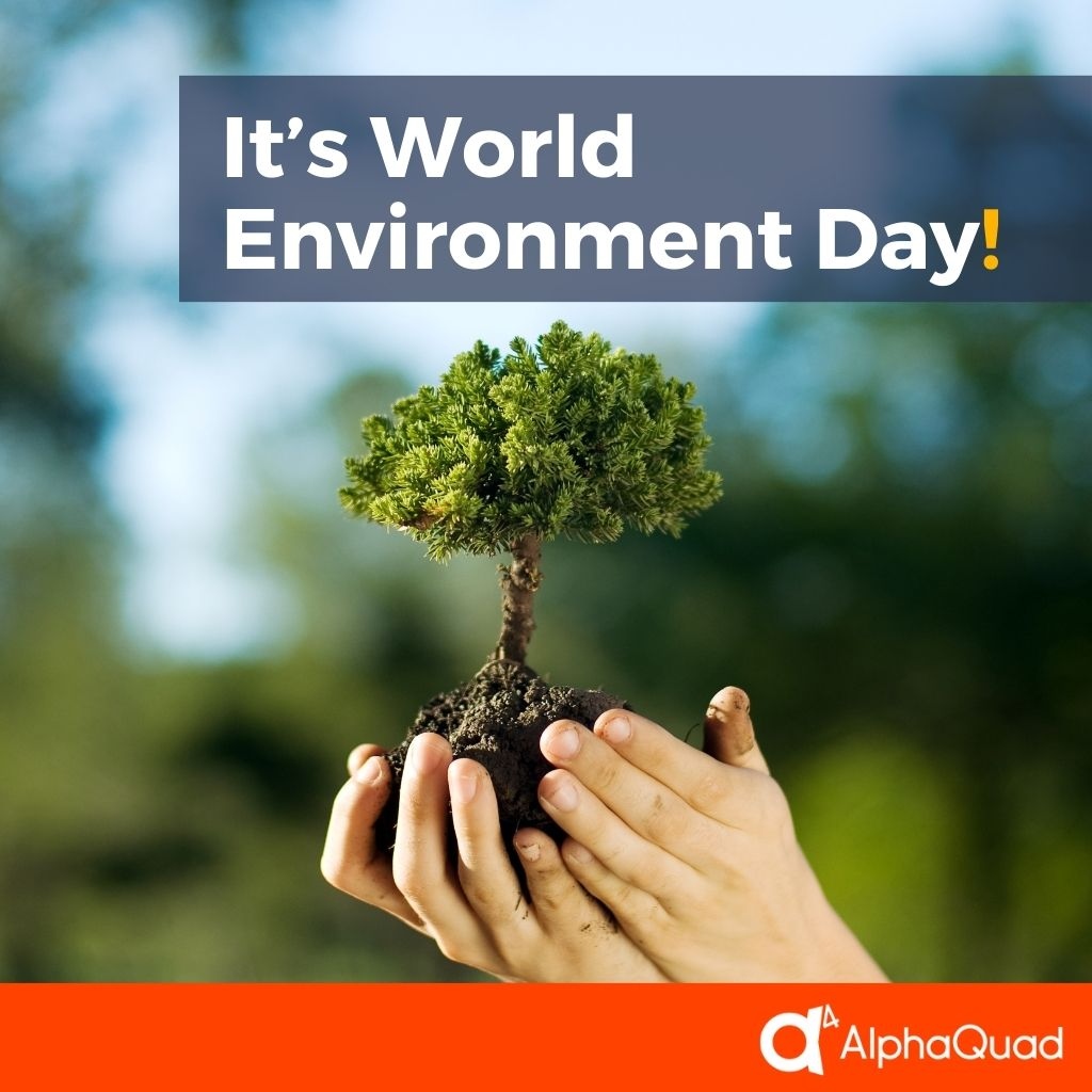 alphaquad's tweet photo. 🌍 Celebrating World Environment Day! 🌿

Today, we're celebrating our new partnership with a local community eco group! 

Stay tuned for more updates as we roll up our sleeves and get our hands dirty for a great cause. 

#WorldEnvironmentDay #AlphaQuadGoesGreen https://t.co/jYAOrie6pu