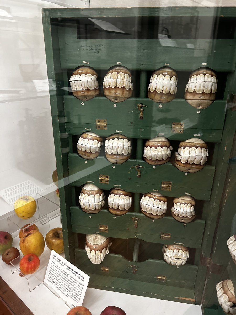 Whipple Museum tweet media