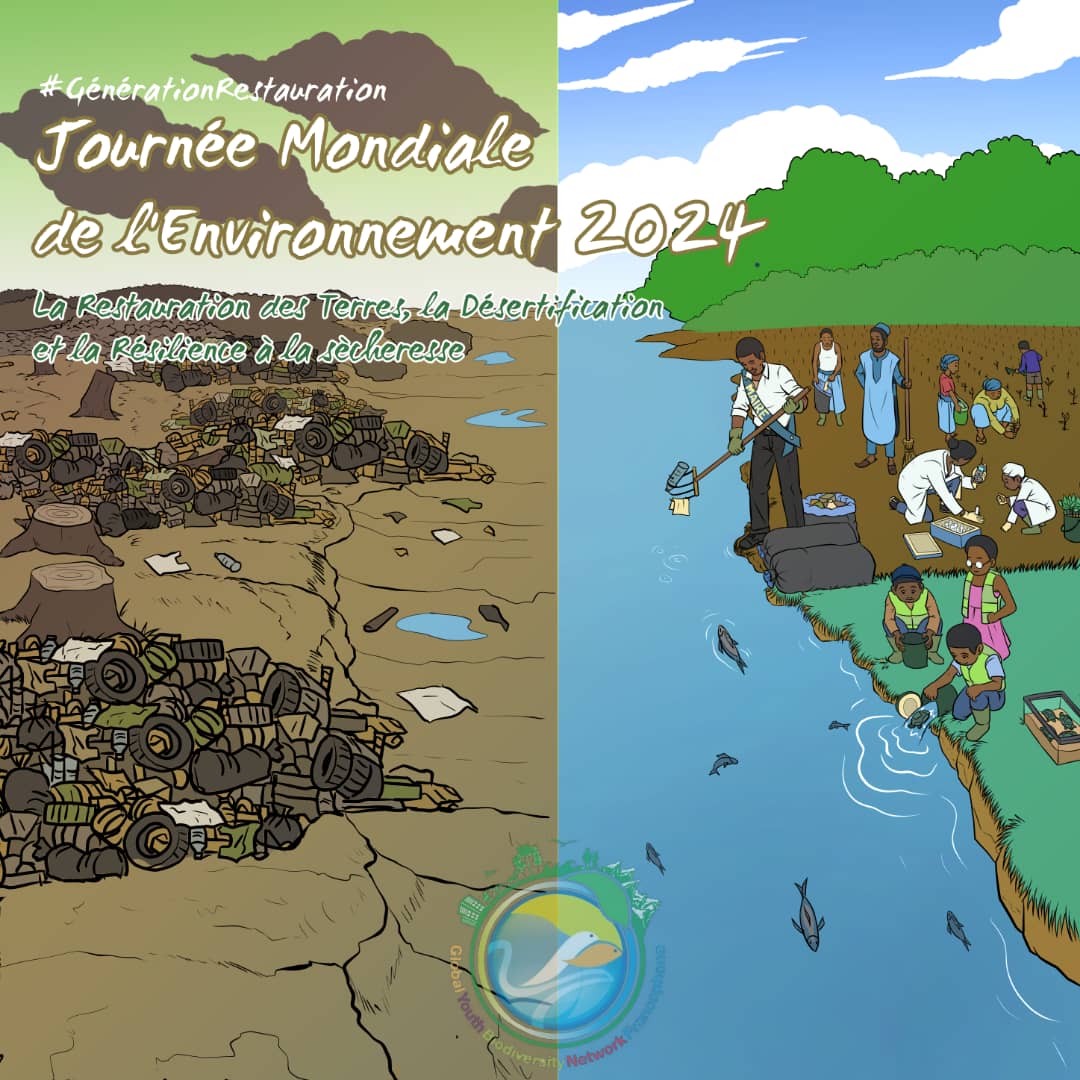 # Nous sommes la génération restauration, nous sommes pour une restauration efficace 🌍🌿.

#gybnfrancophone #YouthIntoAction #biodiversité #YouthInAction