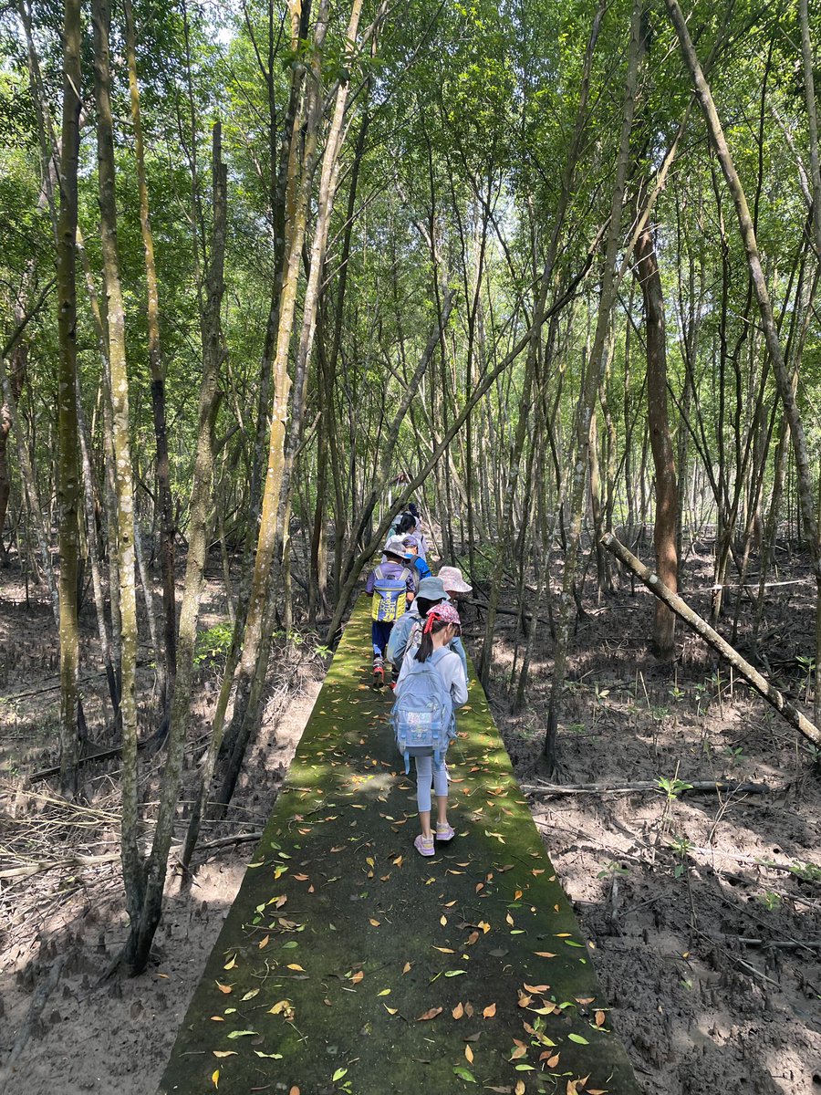 Beautiful day at Kuala Selangor Nature Park with Grade 3. Six schools day remaining…