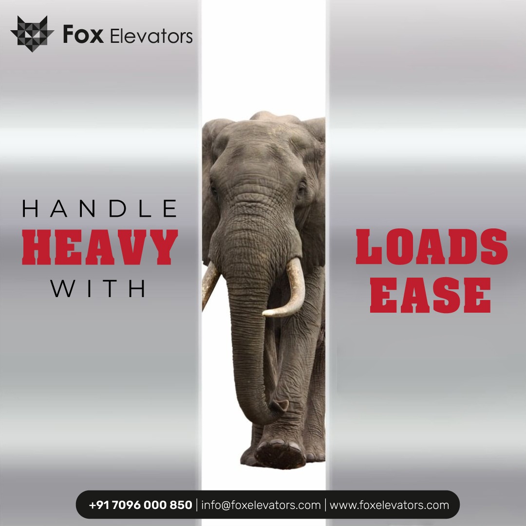 ElevatorsFox's tweet image. Effortlessly handle heavy loads with our advanced solutions. Experience the ease and efficiency you need to get the job done right.
.
#foxelevators #HeavyDuty #EfficientLoading #LoadHandling #WorkSmarter #HeavyLoads #IndustrialSolutions #AdvancedTechnology #EaseOfUse #HeavyLift
