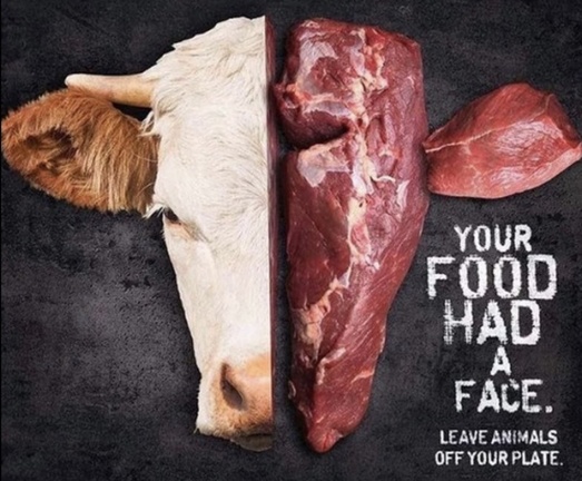 Vegan Future tweet media