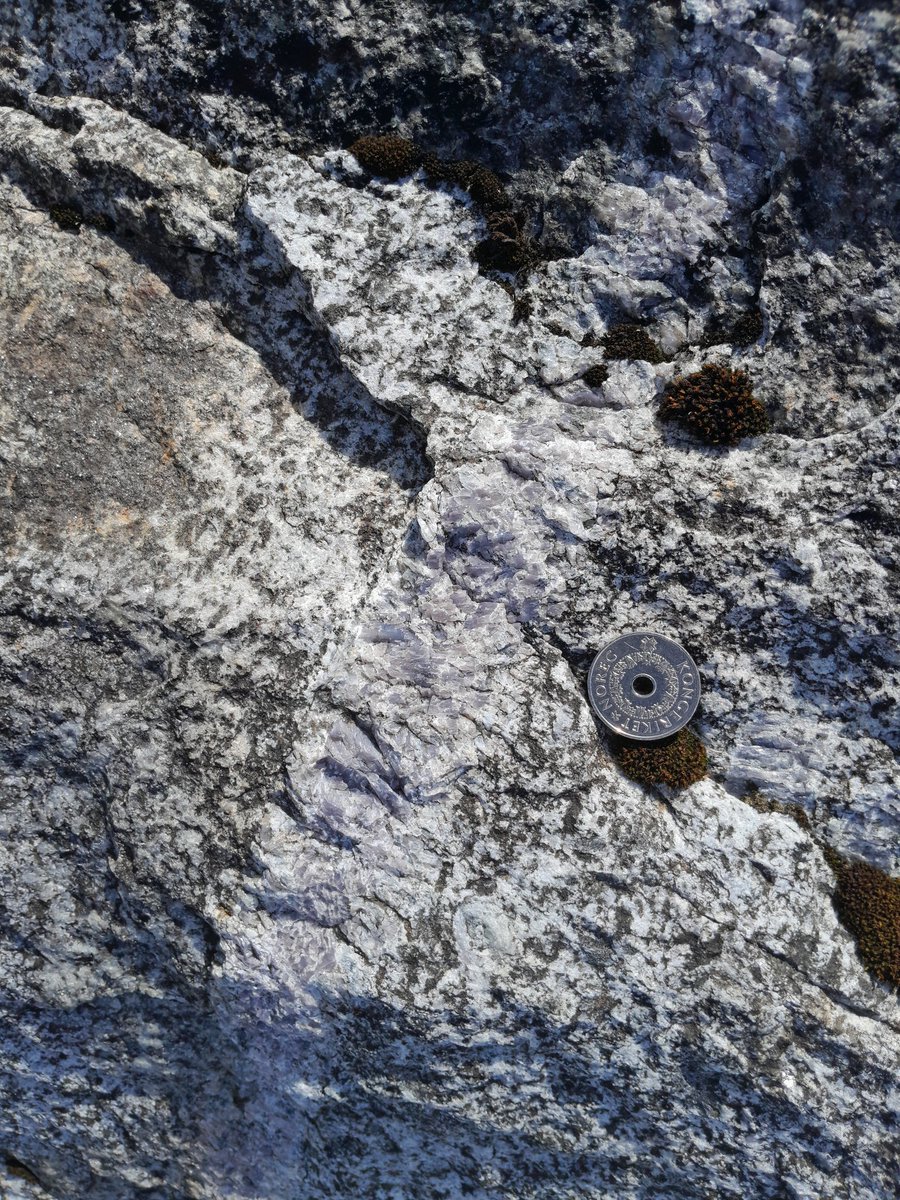 Sascha Zertani tweet media