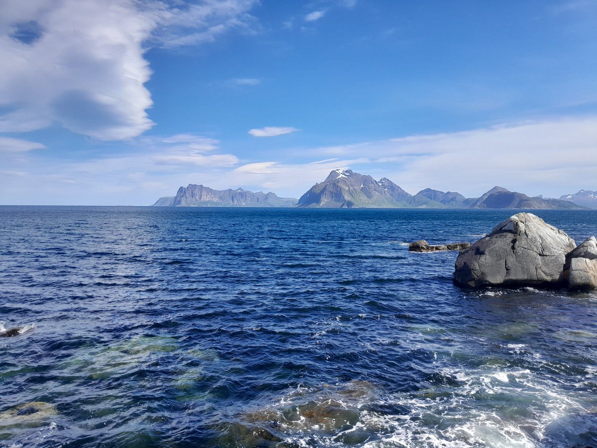 Sascha Zertani tweet media