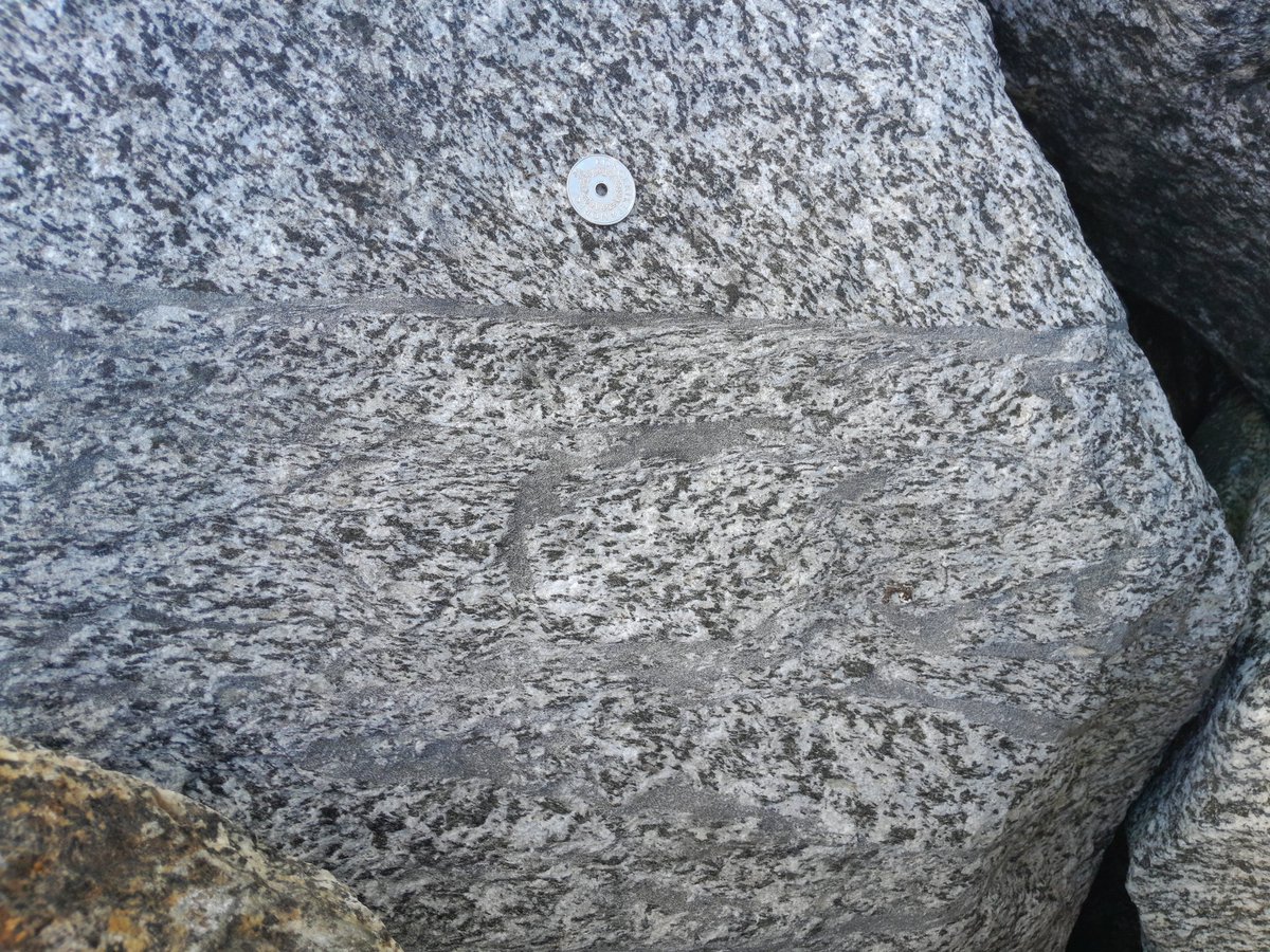Sascha Zertani (@sheared_sash) on Twitter photo Back in Lofoten! Today I have some time to explore new outcrops (and boulders 😂) with <a href="/glgysteve/">Stephen Michalchuk</a>. My favorite so far the amazingly purple anorthositic dyke. #geology Back in Lofoten! Today I have some time to explore new outcrops (and boulders 😂) with <a href="/glgysteve/">Stephen Michalchuk</a>. My favorite so far the amazingly purple anorthositic dyke. #geology