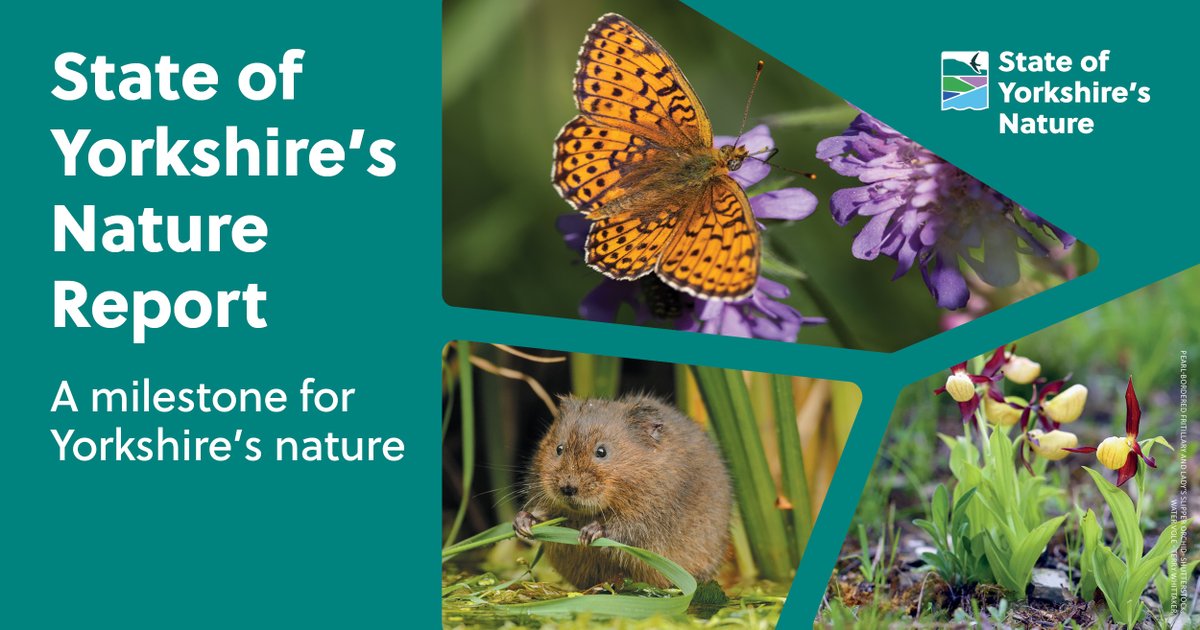 ‘We can help nature recover. From bitterns to beetles, our natural systems can flourish again. Even in light of a changing climate, if we do the right things now, it will make a difference.'💚

Read the report: yorkshirewt.org.uk/StateOfNature

#YorkshireNatureReport #WorldEnvironmentDay‌
