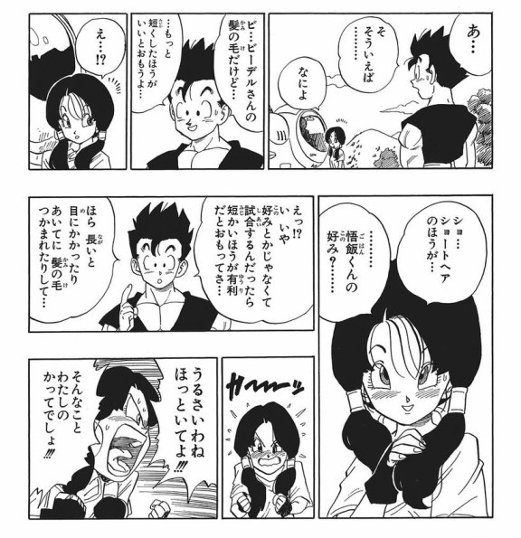 ビーデルさんかわいいすぎ問題 