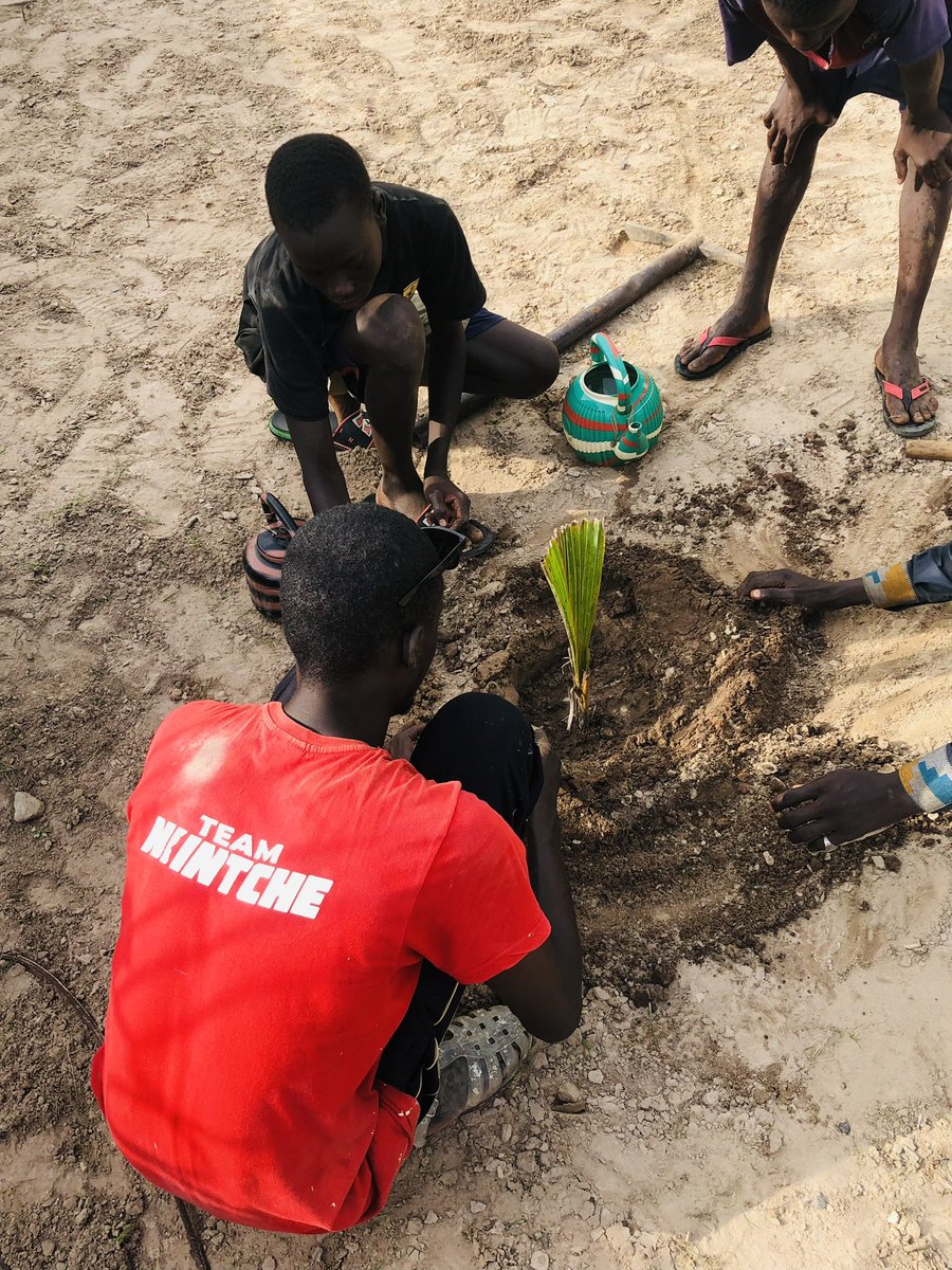 Luttons contre la déforestation en favorisant le reboisement mais surtout initier nos jeunes frères et sœurs aux Objectifs du Développement Durable 🌳.

#envrionmentday
@TeamNiintche