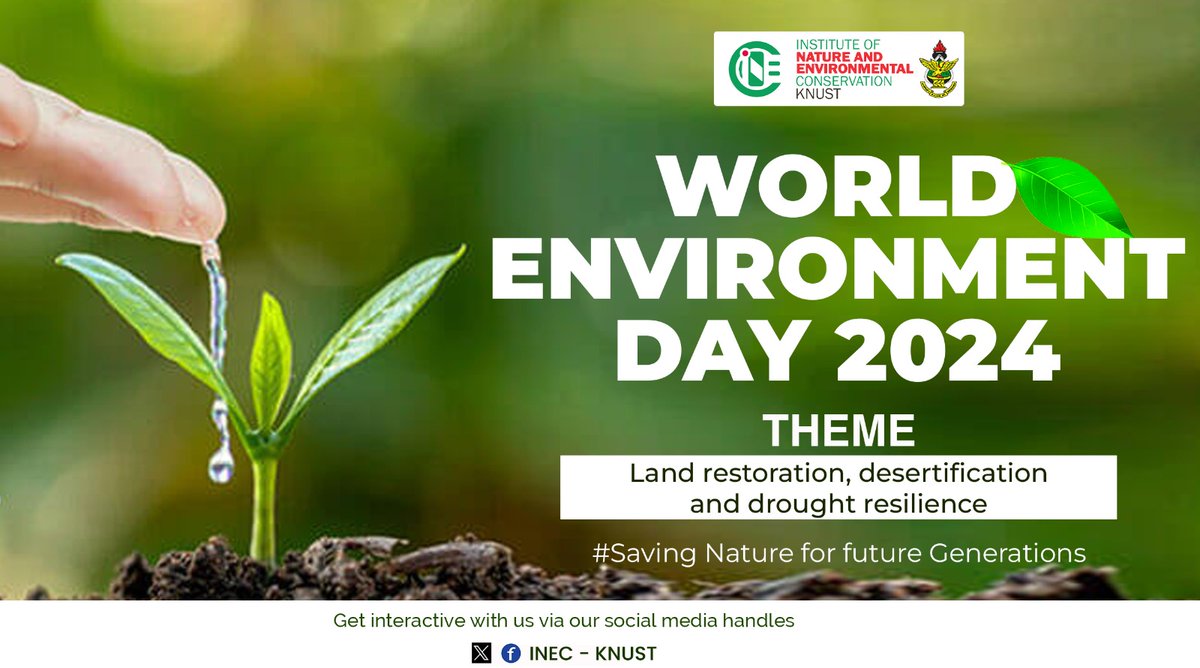 inec_knust's tweet photo. In the midst of chaos, there is always a possible solution to that effect. It's the world Environment Day, let's restore our land, and foster a more resilient ecosystem for ourselves.
#LandRestoration
#climateAction 
#DroughtResilience https://t.co/pqBEsclx13