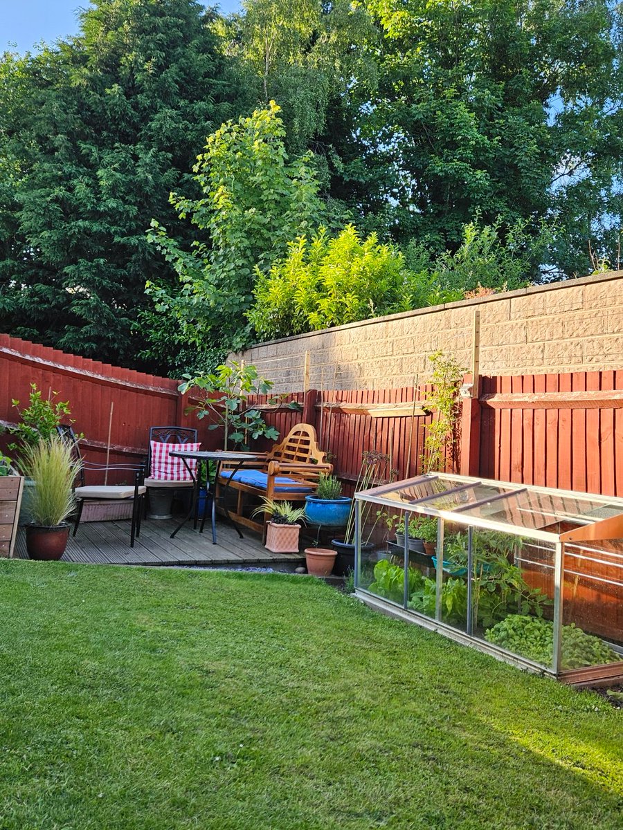 Marco Catena tweet media