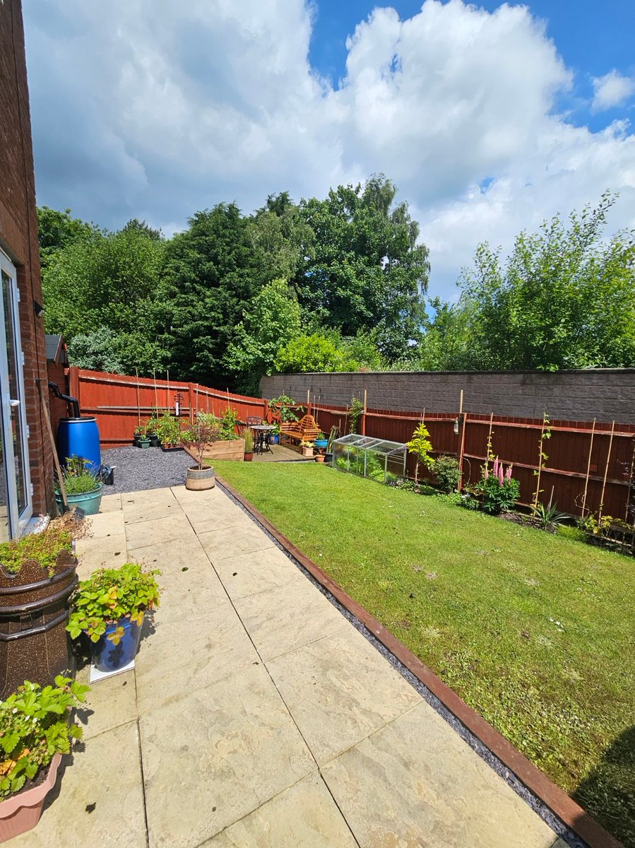 Marco Catena tweet media