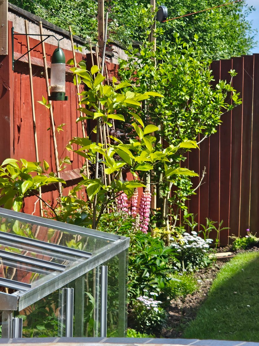 Marco Catena tweet media