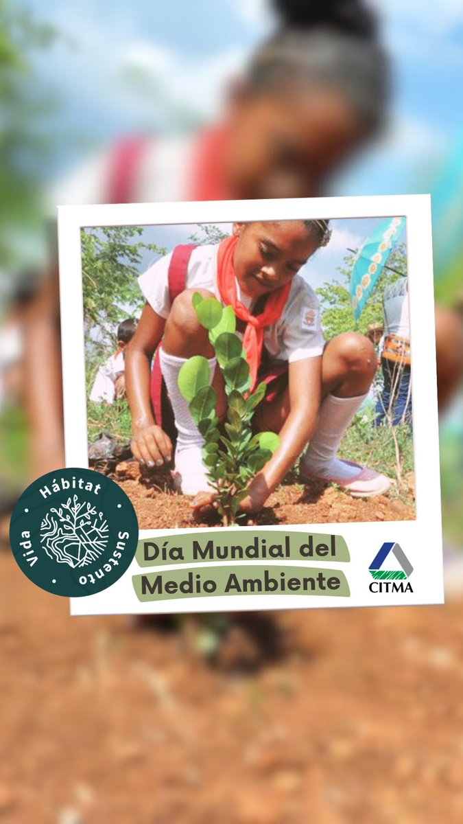 Hoy, en Martí, en Matanzas, Municipio Pro-Ambiental, celebran el 5 de junio #DíaMundialMedioAmbiente
“La Tierra es Vida”. Cada acción, por pequeña que sea, cuenta
#SostenibilidadYResiliencia
<a href="/EdMartDiaz/">Eduardo Martínez Díaz</a> <a href="/SANTANACITMA/">JOSE FIDEL SANTANA NUÑEZ</a> <a href="/adianez_taboada/">Adianez Taboada</a> <a href="/ArmandoRguezB/">Armando</a> <a href="/citmacuba/">Ministerio de Ciencia, Tecnología y Medio Ambiente</a>