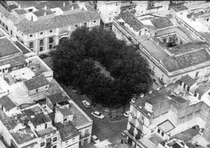 PatrimonioSevilla tweet media