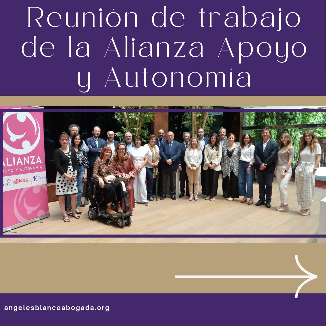 AngelesConfe's tweet image. Reunión de la Alianza de Apoyo y Autonomía. 10 organizaciones unidas para implementar la Ley 8/2021 y evitar efectos colaterales como la limitación en la deducción por hijo a cargo en la declaración de la renta.