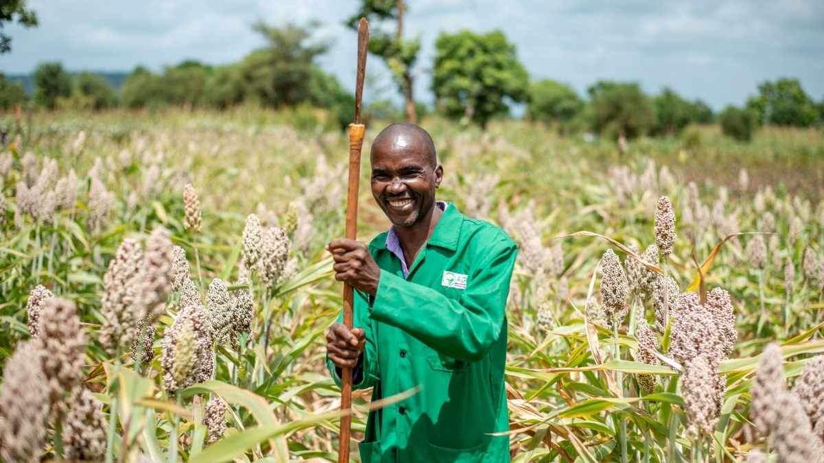 Farm Africa tweet media