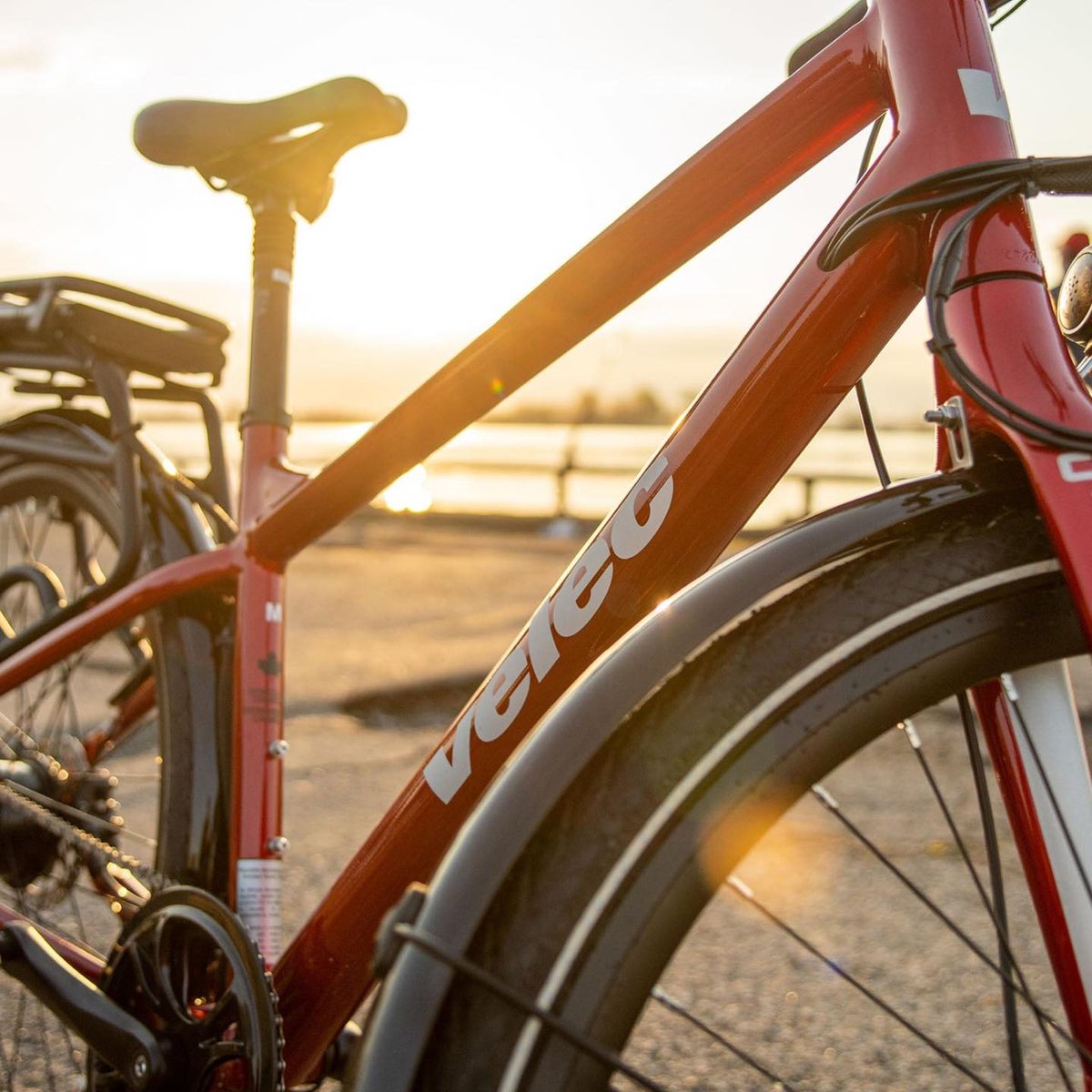 Georgian Bay Recreation tweet media