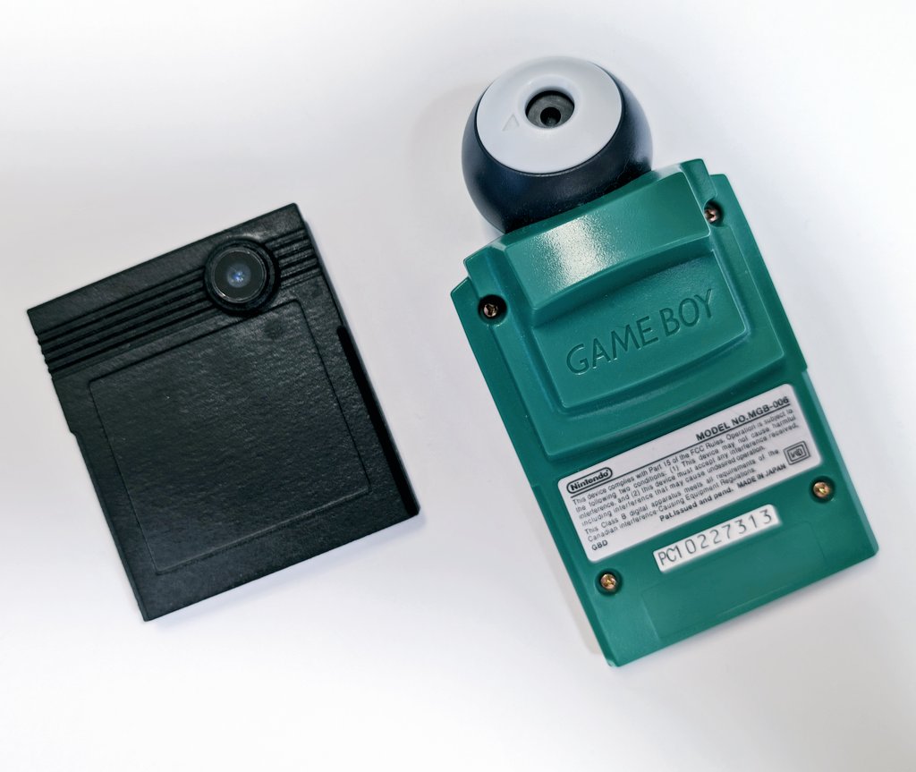 メインクーンといっしょ tweet media