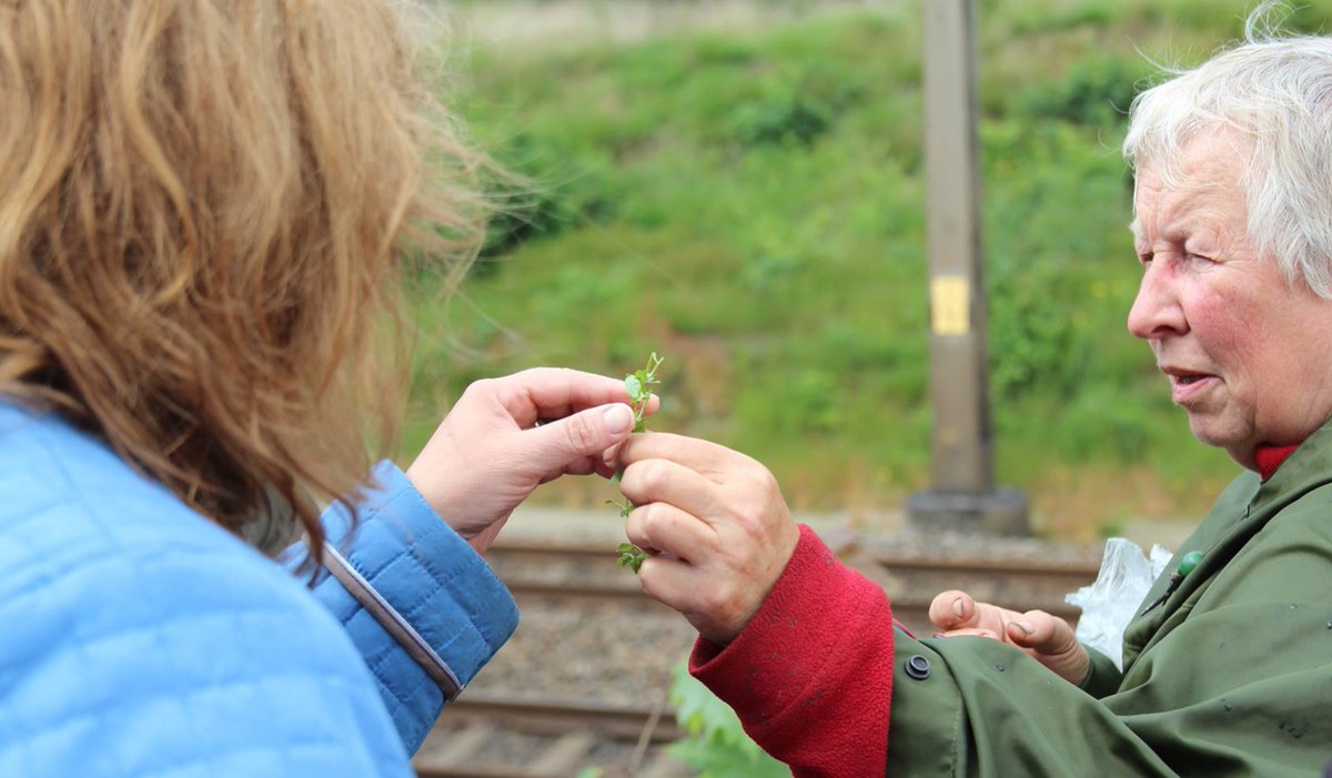 Toerisme Rijssen-Holten tweet media