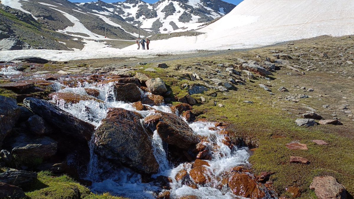 Espectaculares imágenes de profunda belleza que nos regala el deshielo en #SierraNevada... y buena reserva de agua para toda Granada
📷 5/6/2024
🌿 Feliz  #DiaMundialDelMedioAmbiente 
#RevoluciónVerde #MedioAmbiente