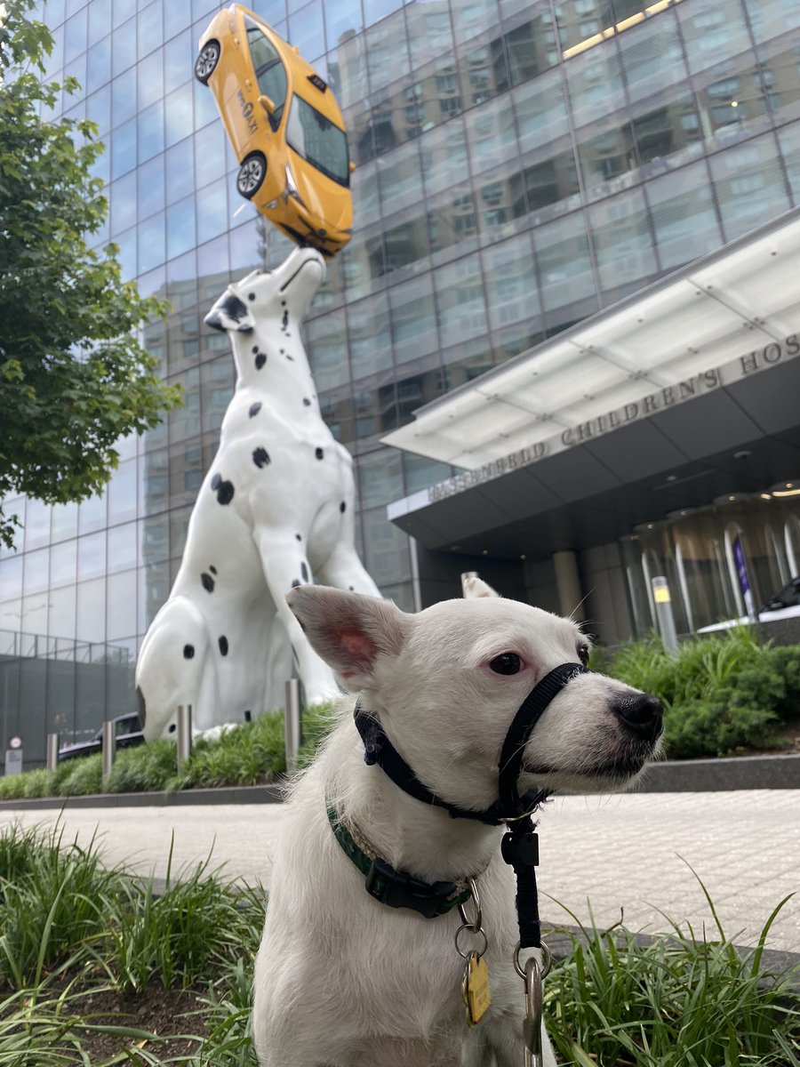 Anna Berenson, Ph.D. tweet media