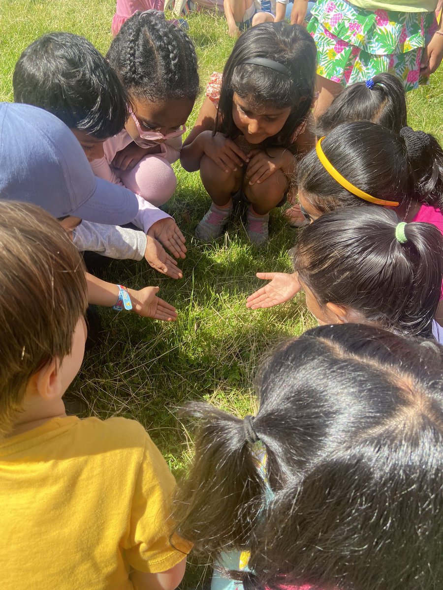 StRoseKP's tweet photo. We released our beautiful butterflies!🦋 https://t.co/cTqbXQQohL
