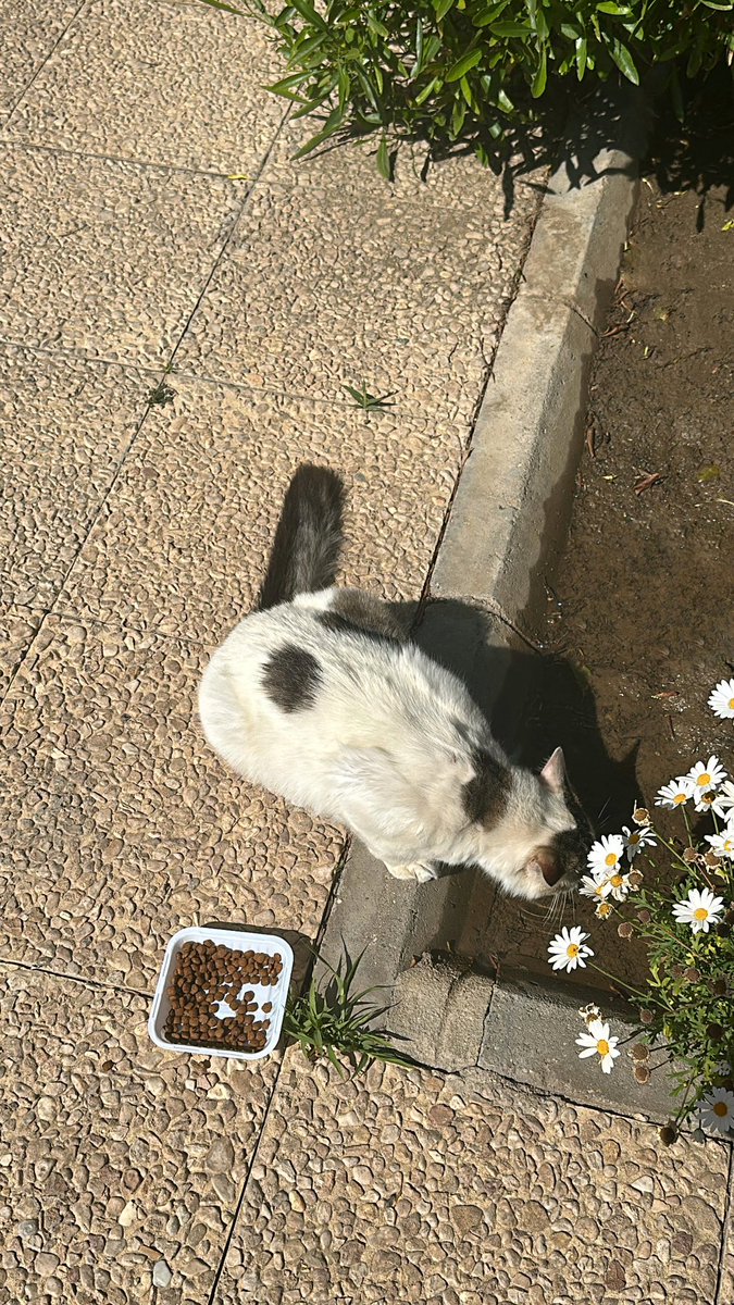 2rr_y's tweet photo. بالعافيه يا بسبوسي🥹 https://t.co/B0ct7szTkF