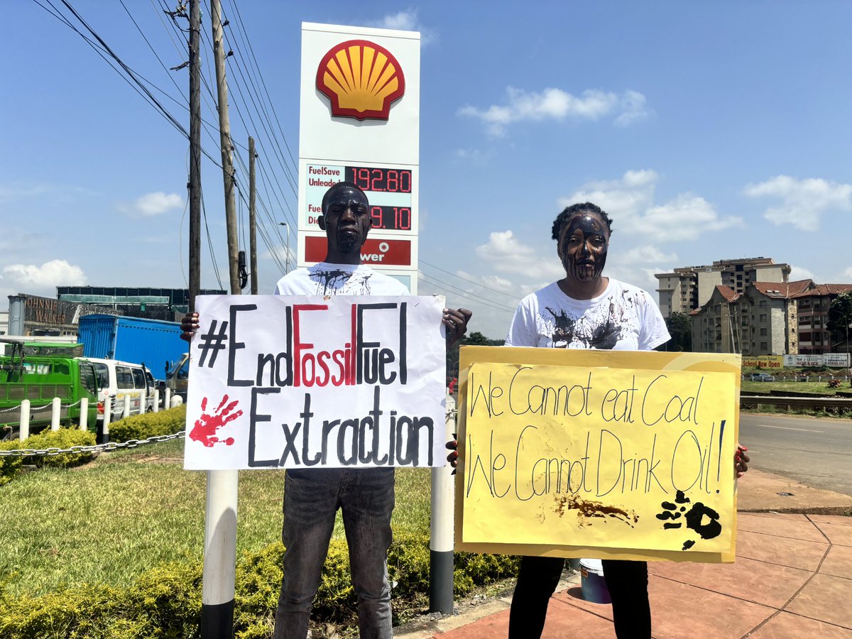 The end of oil exploration era is now , and to the worst environmental  polluters <a href="/Shell/">Shell</a> <a href="/TotalEnergies/">TotalEnergies</a> WE SAY STOP KILLING the African continent  #GenerationRestoration