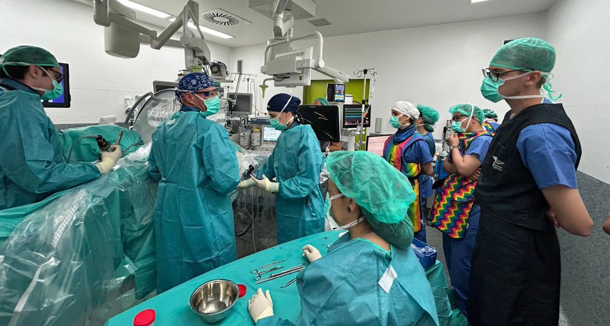drmarcoscepeda's tweet photo. Advanced #PCNL workshop at #HURH 

Complex cases tackled by:
#supine 
#miniperc
#uppercalyx approach

Thanks to my team for the effort and @CookMedical for the support! https://t.co/cRQ3Eg9uQW