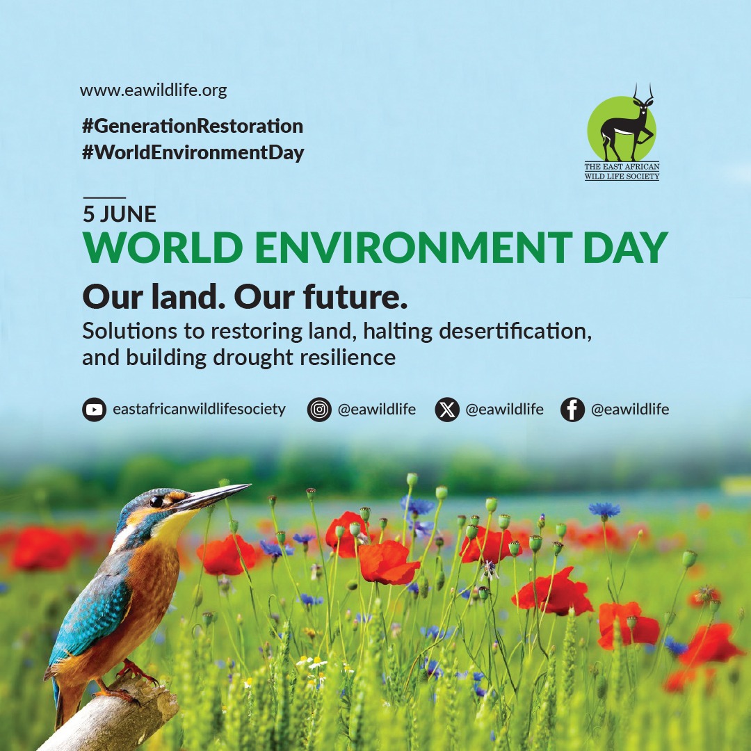 National Environment Management Authority (NEMA) tweet media