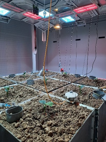 SEA2LAND H2020 🇪🇺 tweet media