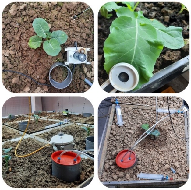 SEA2LAND H2020 🇪🇺 (@sea2land) on Twitter photo 🐟➡️From fishery waste to the food of the future
An Ecotron experiment at Gembloux Agro-Bio Tech tests four BBFs under reference and future meteorological conditions.
<a href="/ULiegeRecherche/">ULiège Research & Innovation</a>
sea2landproject.eu/from-fishery-w… 🐟➡️From fishery waste to the food of the future
An Ecotron experiment at Gembloux Agro-Bio Tech tests four BBFs under reference and future meteorological conditions.
<a href="/ULiegeRecherche/">ULiège Research & Innovation</a>
sea2landproject.eu/from-fishery-w…