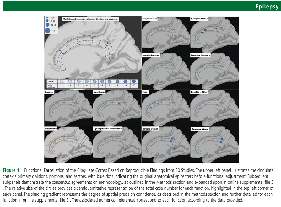 Journal of Neurology, Neurosurgery and Psychiatry (@jnnp_bmj) on Twitter photo Read this paper for a segmental mapping of the functional properties of cingulate gyrus, established by electrical stimulation. This should help improve precision in the surgical planning of epilepsy.
bit.ly/3SRWfNK <a href="/raneuron/">Human Brain Mapping</a> Read this paper for a segmental mapping of the functional properties of cingulate gyrus, established by electrical stimulation. This should help improve precision in the surgical planning of epilepsy.
bit.ly/3SRWfNK <a href="/raneuron/">Human Brain Mapping</a>